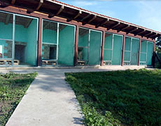 Pansion za pse Novi Sad