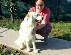 Cuvanje pasa Novi Sad