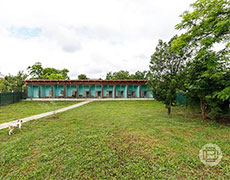 Pansion za pse Novi Sad