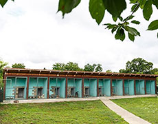 Pansion za pse Novi Sad