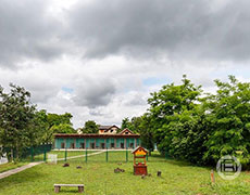 Cuvanje pasa Novi Sad