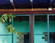 Cuvanje i briga o psima